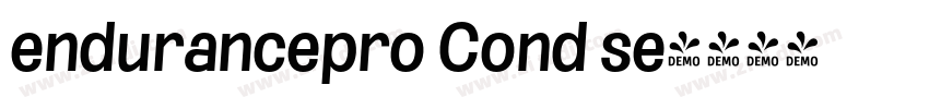 endurancepro Cond se字体转换